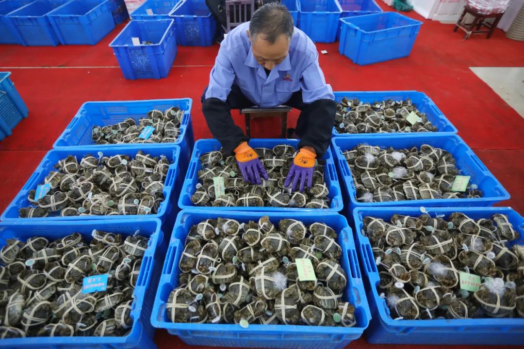 快讯-今年中秋节，你买的阳澄湖大闸蟹可能是假的(2)