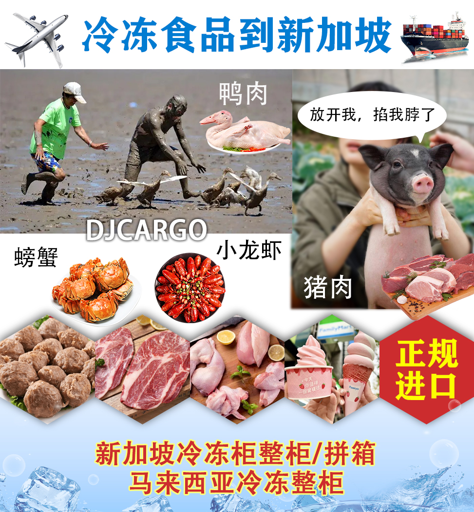 空运海运-【生蚝】从中国佛山发冷冻食品到新加坡超详细教学(1)