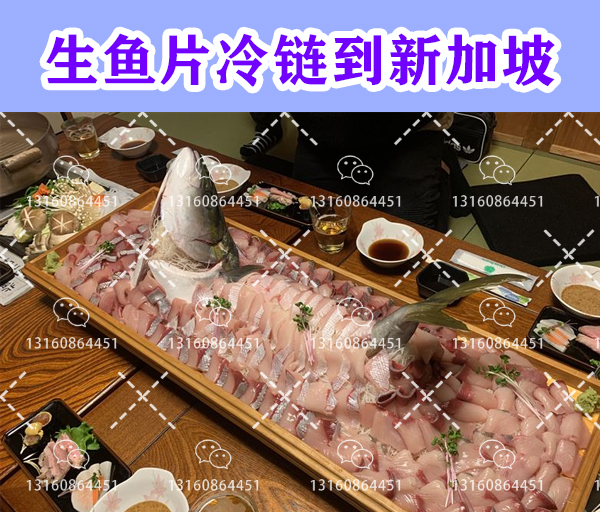 空运海运-【清关】中国运输冷冻鱼肉生鱼片海运到新加坡(1)
