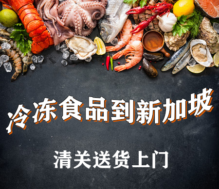 空运海运-冷冻鱼类饺子汤圆海运到新加坡冷冻食品运输(1)