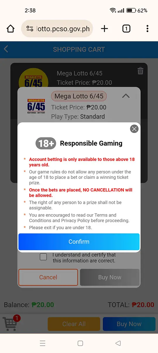 生活攻略-PCSO E-Lotto：如何在菲律宾在线玩乐透(35)