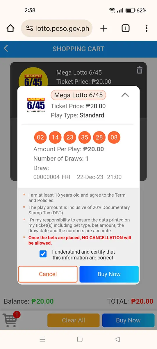 生活攻略-PCSO E-Lotto：如何在菲律宾在线玩乐透(37)