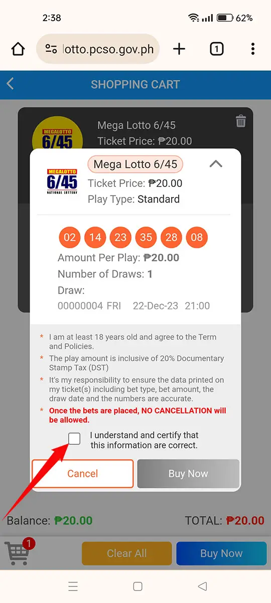 生活攻略-PCSO E-Lotto：如何在菲律宾在线玩乐透(34)