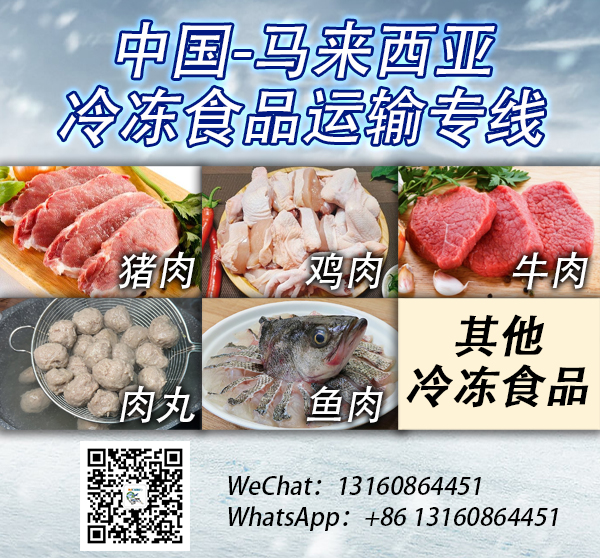 空运海运-冷冻肉到新加坡和马来西亚全程冷链-18度(1)