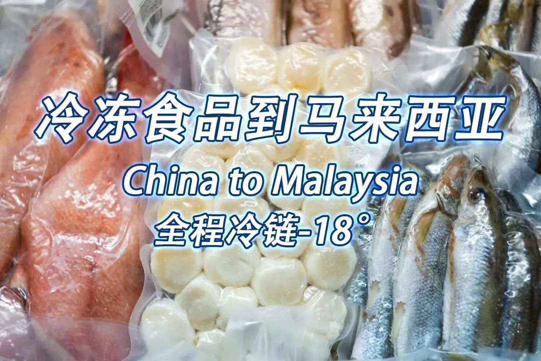 空运海运-冷冻食品到马来西亚海运拼箱双清到门费用查询(1)