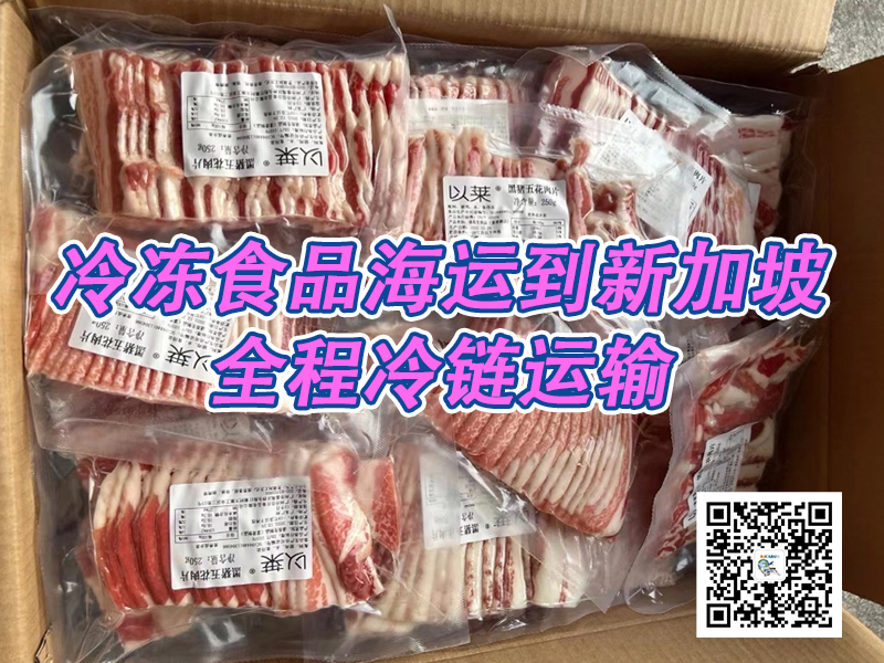 空运海运-冷冻肉冷链拼箱到新加坡【djcargo1234】(1)