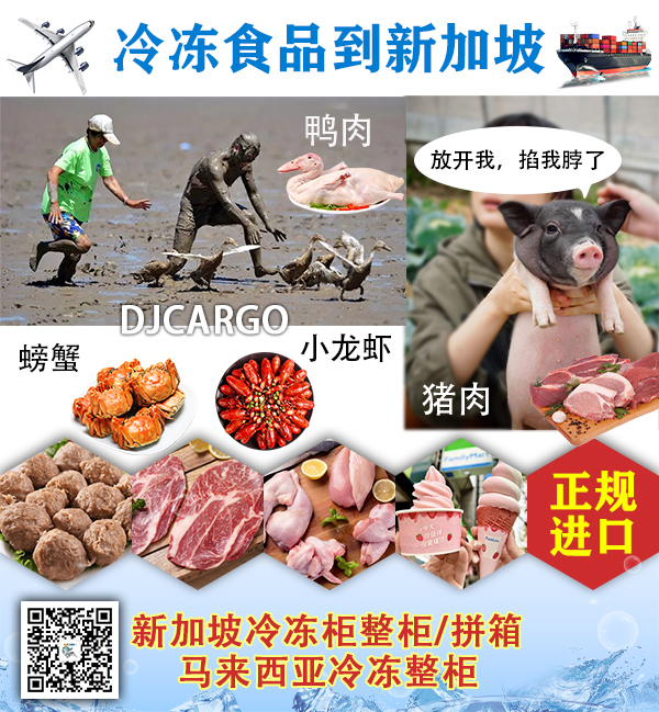 空运海运-【中国冷链物流】水饺-包子-章鱼丸海运到新加坡-18度(1)