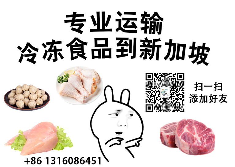 空运海运-【冷冻食品】虾丸虾滑牛肉丸海运到新加坡包清关派送(1)