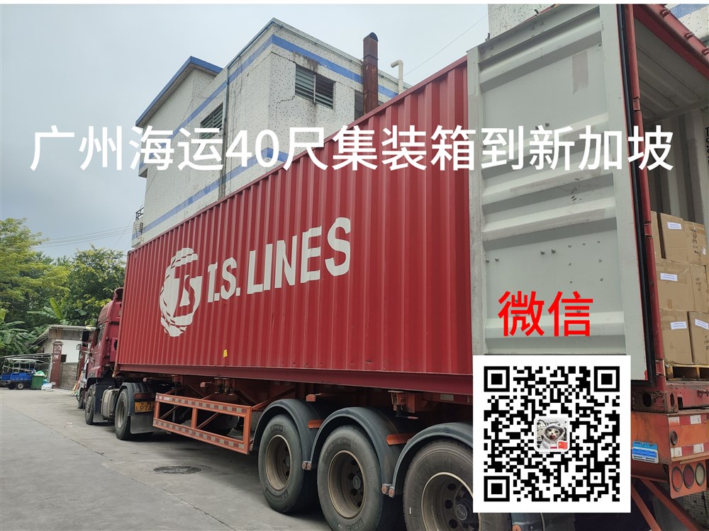 空运海运-从中国广州到新加坡整柜海运双清门到门订舱操作流程(2)
