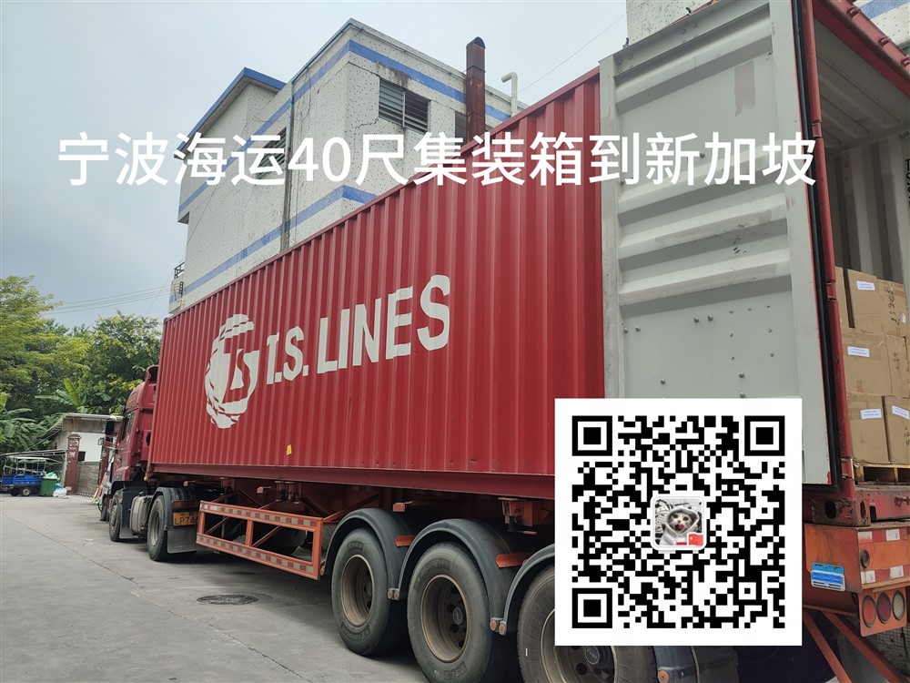 空运海运-从宁波到新加坡整柜海运双清门到门订舱操作流程(2)