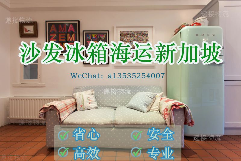 空运海运-刘女士的跨国运输体验：轻松搞定沙发和冰箱运新加坡！(1)