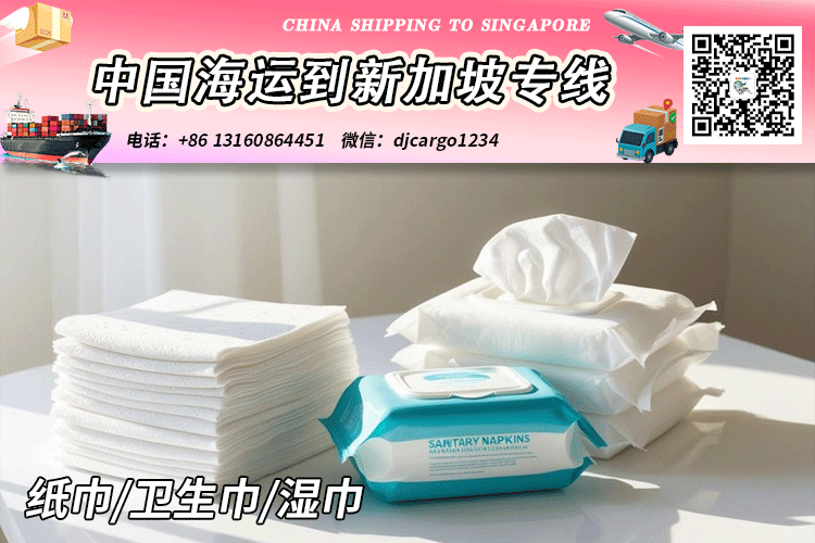 空运海运-纸巾/卫生巾/湿巾海运整柜到新加坡SG→小詹(1)