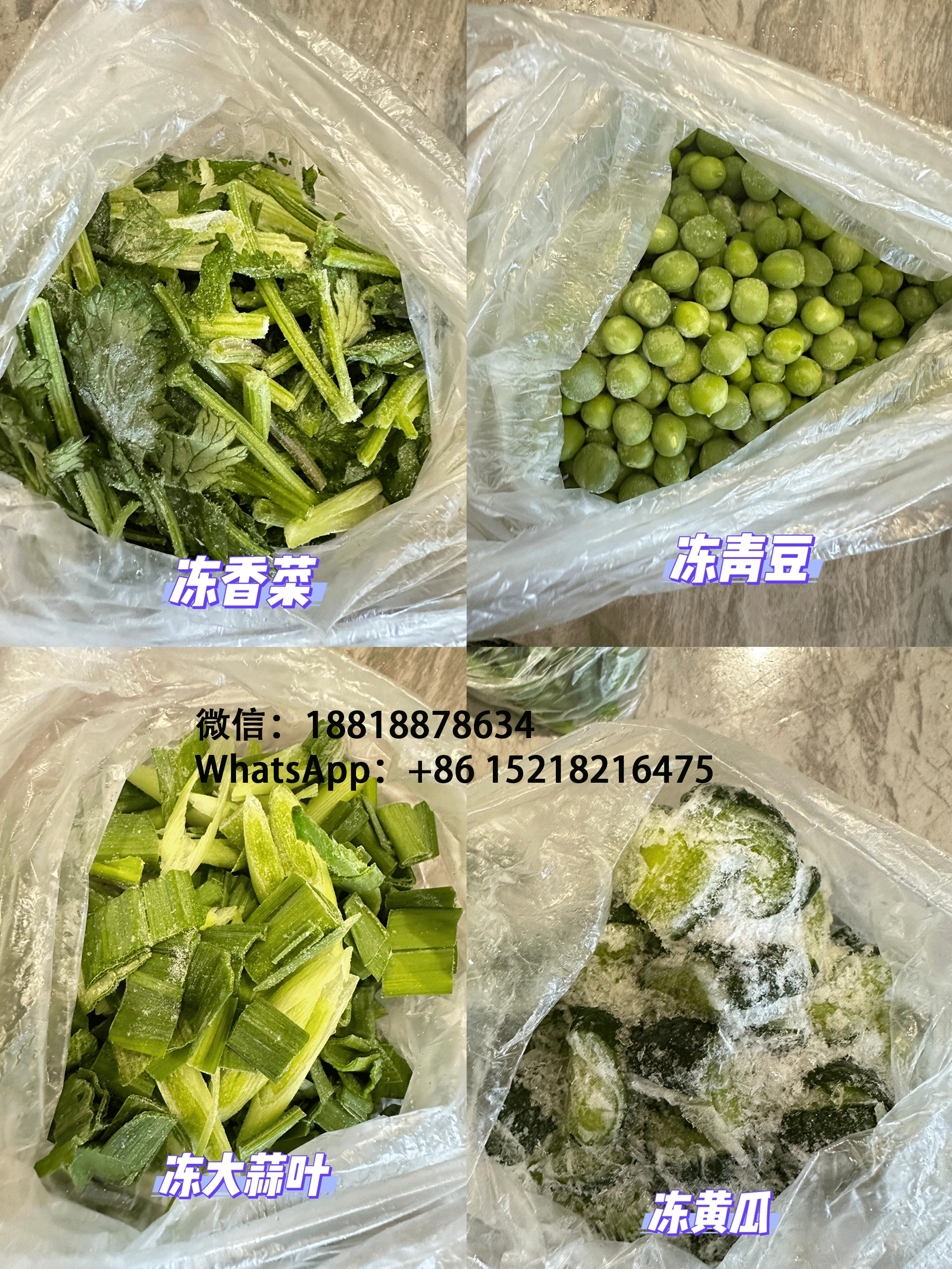 空运海运-冷冻肉类、海鲜、素食海运至新加坡，专业冷链海运(1)
