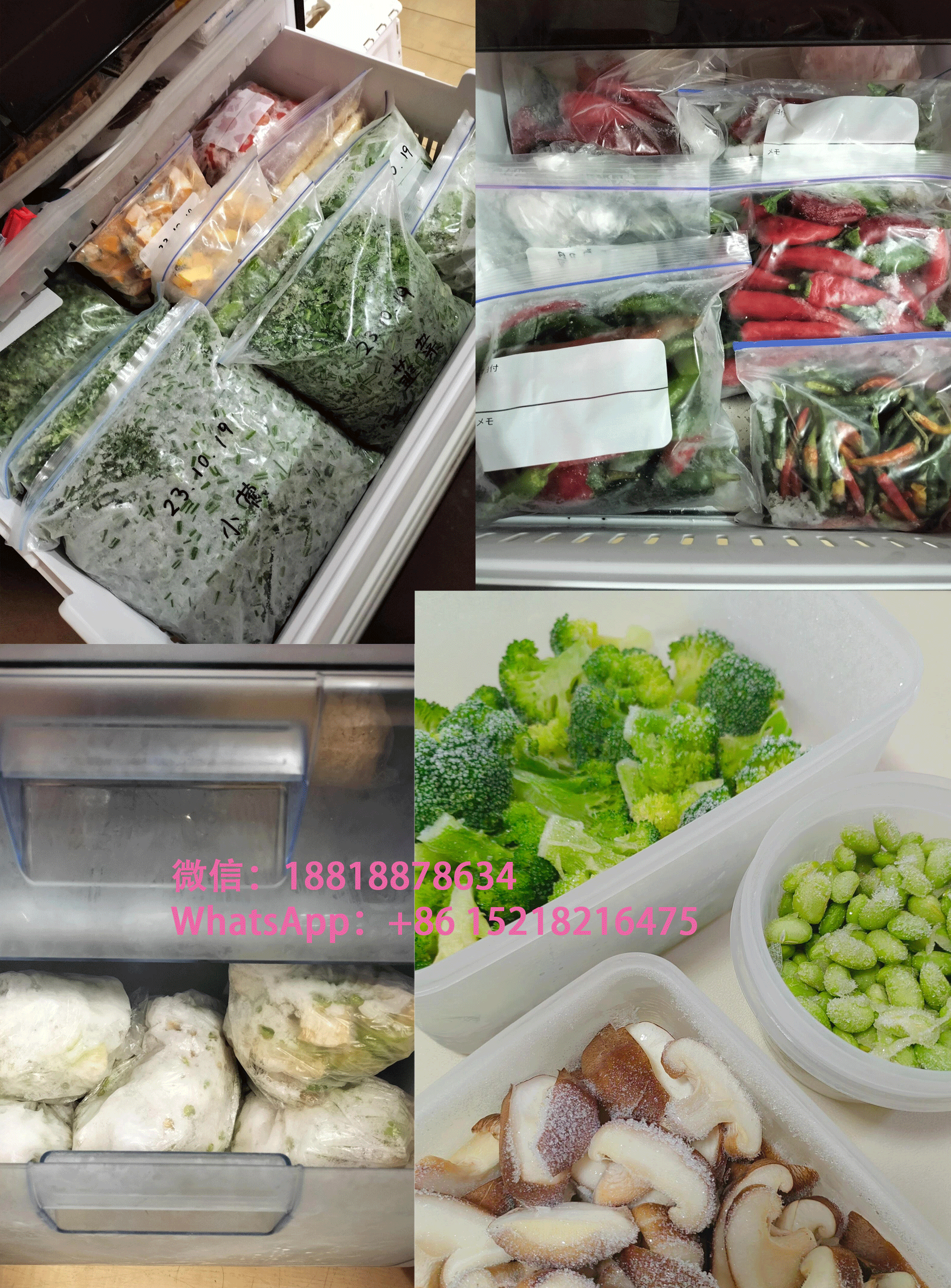 空运海运-冷冻肉类、海鲜、素食海运至新加坡，专业冷链海运(3)