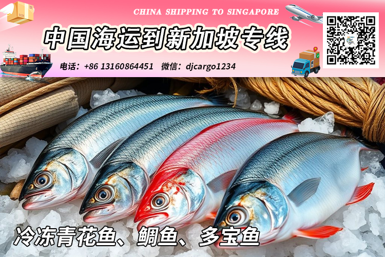 空运海运-【全程冷链】冷冻青花鱼-鲷鱼-多宝鱼海运到新加坡Singapore(1)