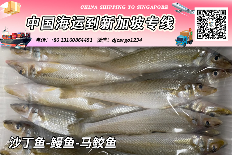 空运海运-【全程冷链】冷冻沙丁鱼-鳗鱼-马鲛鱼海运到新加坡SG(1)