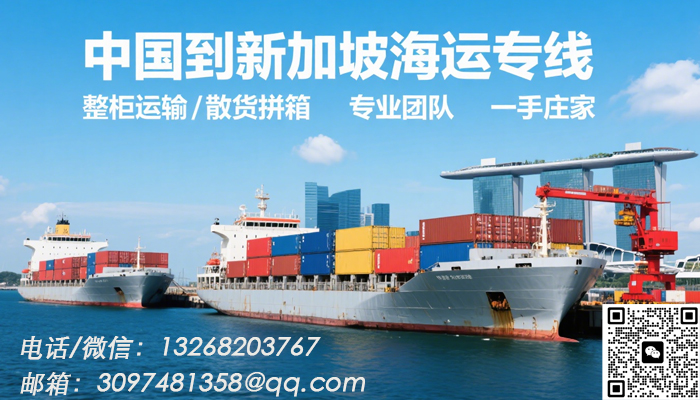 空运海运-中国到新加坡整柜/拼箱海运操作指南(1)