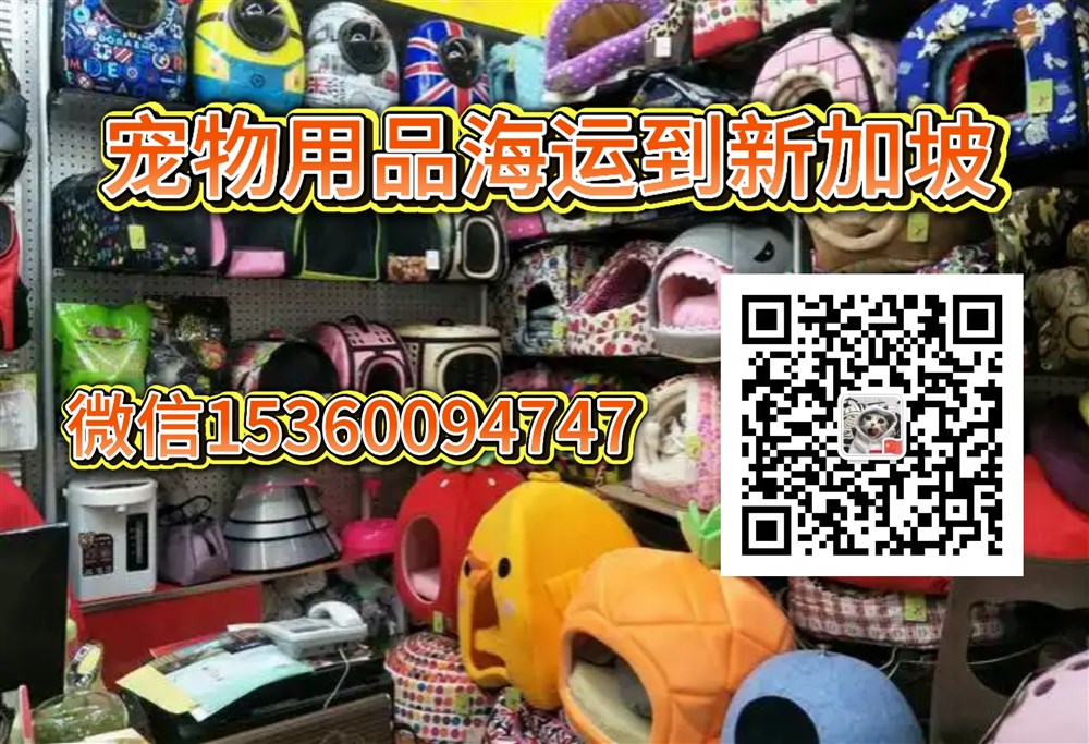 空运海运-宠物用品海外版：宠物用品海运到新加坡双清门到门服务(2)