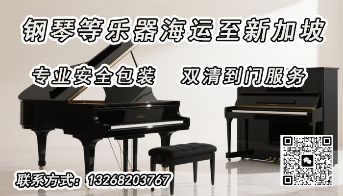 空运海运-乐器海运|专业乐器包装新加坡海运一站式双清到门解决方案(1)