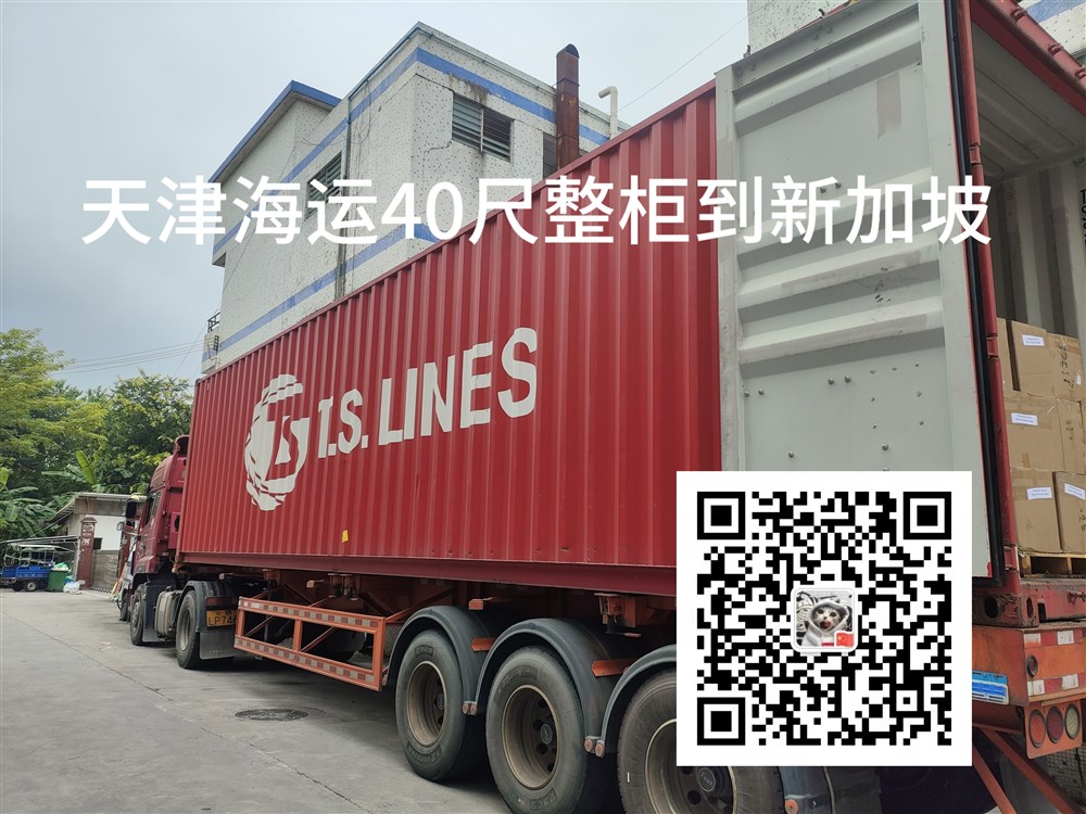 空运海运-在河北省装柜，从天津港海运20尺/40尺集装箱整柜到新加坡(2)