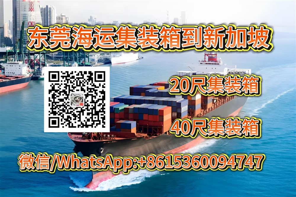 空运海运-东莞海运20尺/40尺集装箱到新加坡双清门到门一站式服务(1)