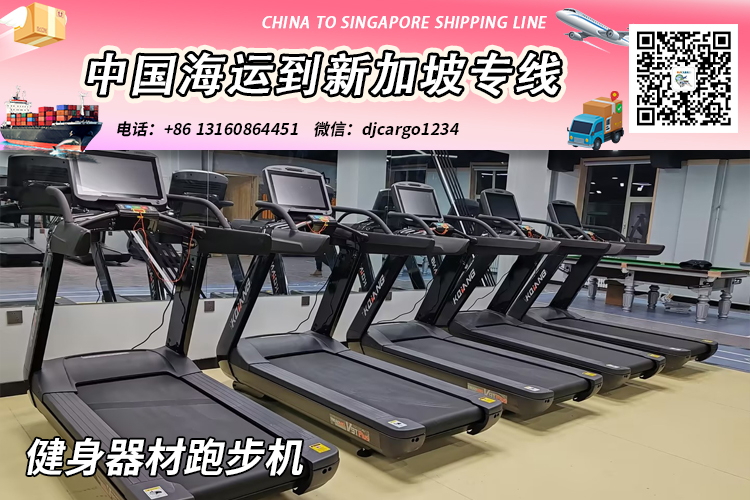 空运海运-【精选】健身器材跑步机海运整柜拼箱到新加坡专线(1)