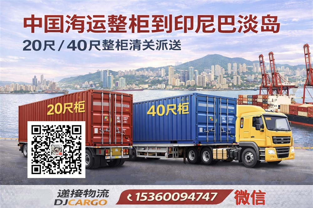 空运海运-中国海运整柜到印尼巴淡岛｜20尺40尺整柜清关派送(1)